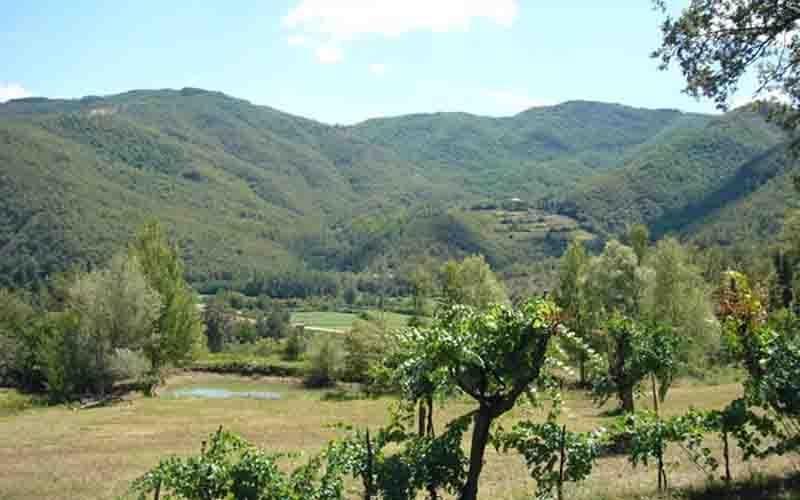Villa Il Corniolo Morra Ngoại thất bức ảnh